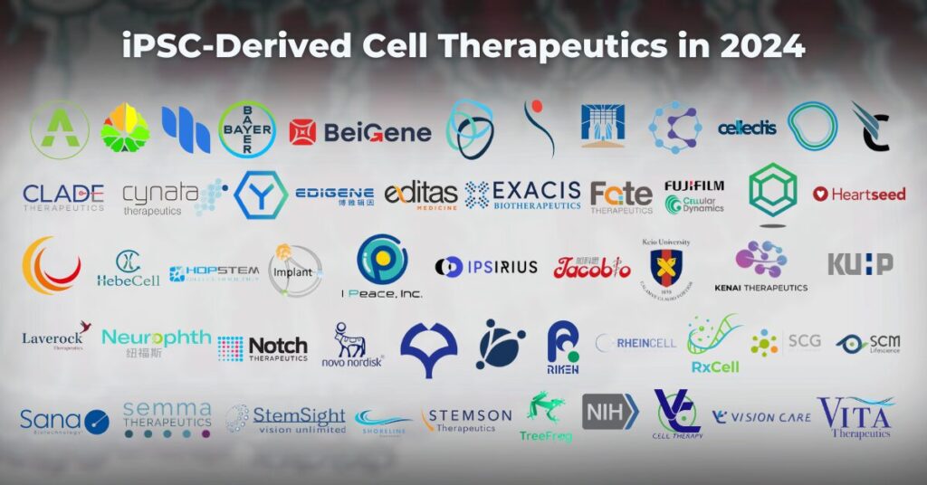 The Pipeline for iPSC-Derived Cell Therapeutics in 2024